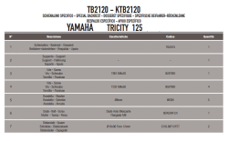 GIVI TB2120A YAMAHA TRICITY 125-155 (14-22) SISSYBAR - Thumbnail