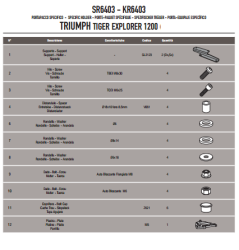 KAPPA KR6403 TRIUMPH TIGER EXPLORER 1200 (12-17) - TIGER 1200 (18) ARKA ÇANTA TAŞIYICI - Thumbnail