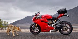 KRIEGA PANIGALE ÇANTA BAĞLANTI KİTİ - Thumbnail