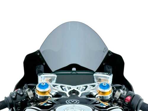 WRS DUCATI DUCATI PANIGALE V4 / S 2025-2026 YARIŞ CAMI FÜME DU034F